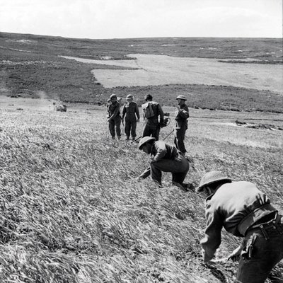 Sappers of the 237 Field Company, Royal Engineers, clearing a minefield after the First Army